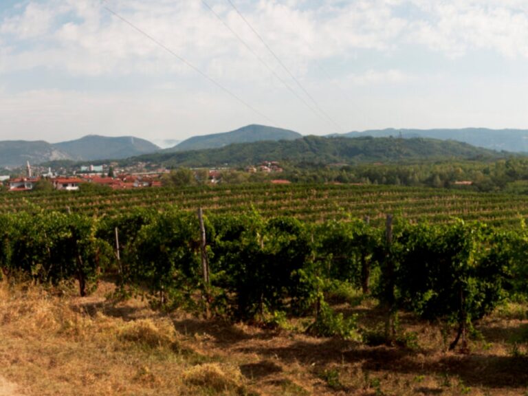 koncne-vsebine_destinacija-NG-HUOF-sep-24-Krozna-pot-Vrtojba-Biljenski-grici